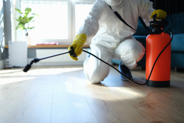 Reliable Sewage Cleanup contractor in West Hollywood, CA by Trauma Clean Pros
